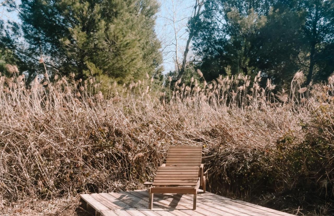 Cooltainer Retreat: Sustainable Coastal Forest Tiny House Near Barcelona Castelldefels Exterior foto